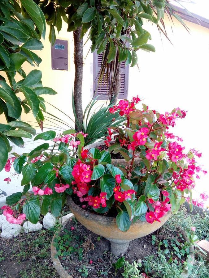 Bed and Breakfast Beb Da Tina Roccasecca Exterior foto
